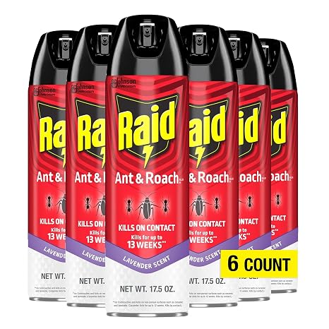 Raid Ant & Roach Killer Aerosol Spray Kills on Contact Keeps Killing for up to 13 Weeks Lavender Scent 17.5 Ounce (Pack of 6)