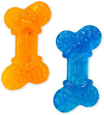 Nylabone Moderate Chew Flexi Chew Bone Peanut Butter & Bacon XX-SmallTiny 2 Count