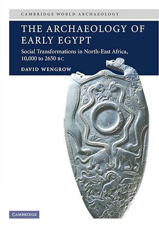 The Archaeology of Early Egypt: Social Transformations in North-East Africa, c.10,000 to 2,650 BC (Cambridge World Archaeology)