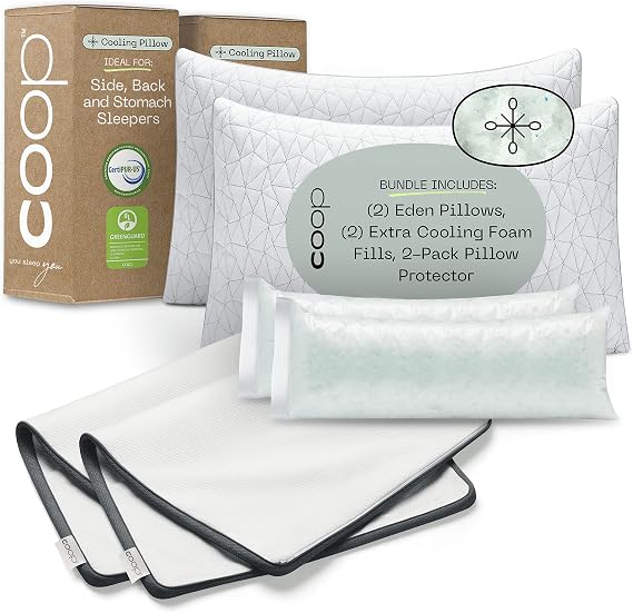 Coop Home Goods Eden Pillow & Protector Queen Bundle, Set Includes (2) Eden Pillows & (2) UltraTech Waterproof Pillow Protectors
