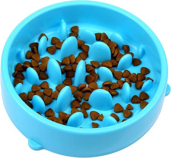 H&S Slow Feeder - Interactive Dog & Cat Bowl - Slow Eating, Bloat Prevention