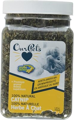 Cosmic Catnip Jar