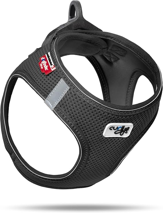 Vest Harness D-Ring Buckle Black M