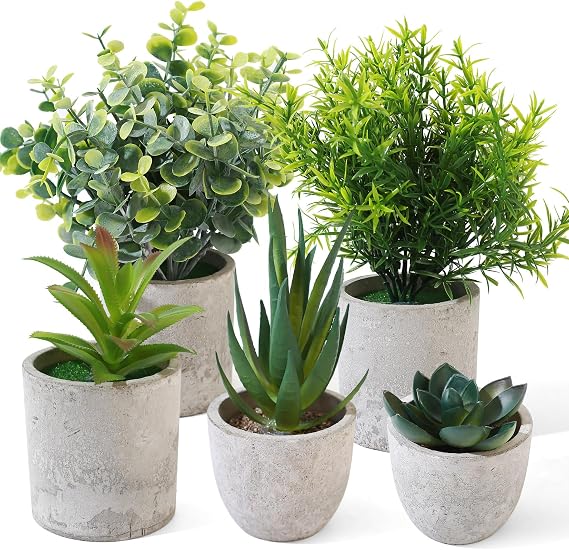 5 Pcs Artificial Plants Indoors, Small Artificial Plants in Pots, Plastic Fake PlantsPlastic Decorative Faux PlantsEucalyptus Succulents for Indoors Office Desk Living Room House Bedroom Decoration