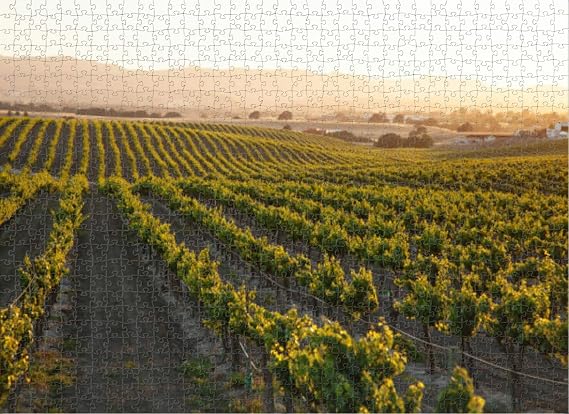 Puzzles for Adults 1000 Pieces Jigsaw Puzzles Setting Sun Flooding Golden Light Over Vineyard Puzzles Clearance Big Large Puzzles Difficult Cool Hard Puzzles for Adults