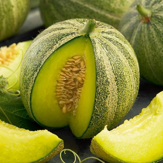Mountain Valley Seed Co Haogen Melon Seeds 1 Oz ~1100 Seeds Non-GMO | Heirloom - Cucumis melo - Fruit & Vegetable Garden