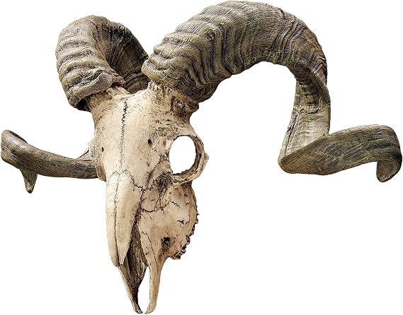 Design Toscano Corsican Aries Skull and Horns Wall Trophy 47 x 18 x 29 cm