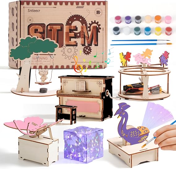 Sntieecr 6-in-1 STEM Kits for Kids Ages 8-10-12 Years, 3D Puzzles Science Experiments Model, Girls Wooden Craft and Art, STEM Building Kits, Gift Idea for Birthday, School Project (with Instruction