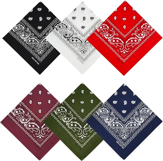 APIGANIZ 100% Cotton Bandanas, 21 x 21 inches, Set of 6