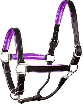 Perri's Leather Metallic Padded Leather Halter, Cob, Black/Purple