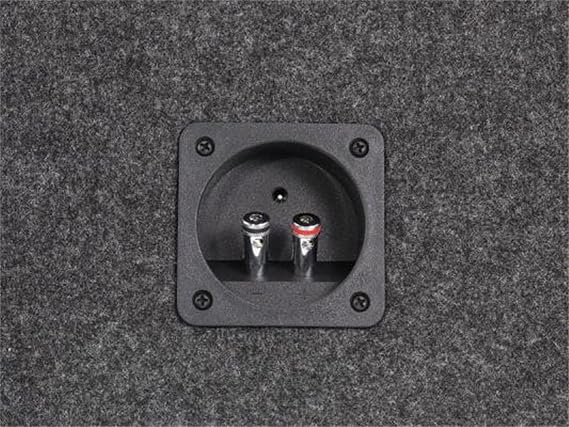 Scosche SE122CC 12-Inch Dual Subwoofer Enclosure (Grey/Black)
