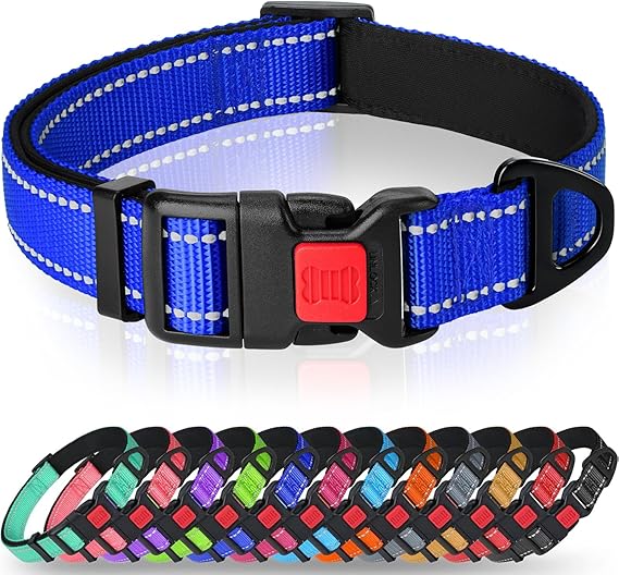 Taglory Reflective Dog Collar for Medium Dogs, Padded Nylon with Buckle | Soft Neoprene Padded Comfort, Night Walking Visibility, Metal D-Ring for Lead, Adjustable Sizing, Everyday Wear