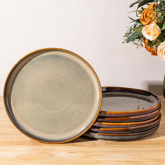 theterra Ceramic Dinner Plates Set of 6, 10.25 Inch Dinnerware Plates