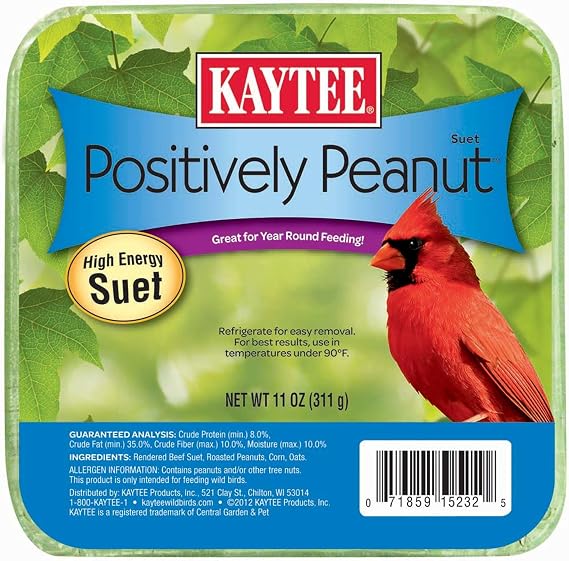 Kaytee Positively Peanut High Energy Mini Suet, 11 Ounces