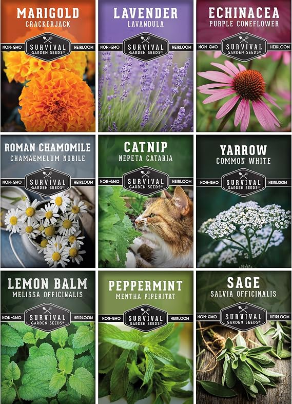 Medicinal Tea Herb Seeds for Planting | 9 Varieties - Survival Garden Seeds | Grow Herbal Teas, Natural Remedies Home Apothecary Garden Kit Heirloom, Non-GMO Herbs
