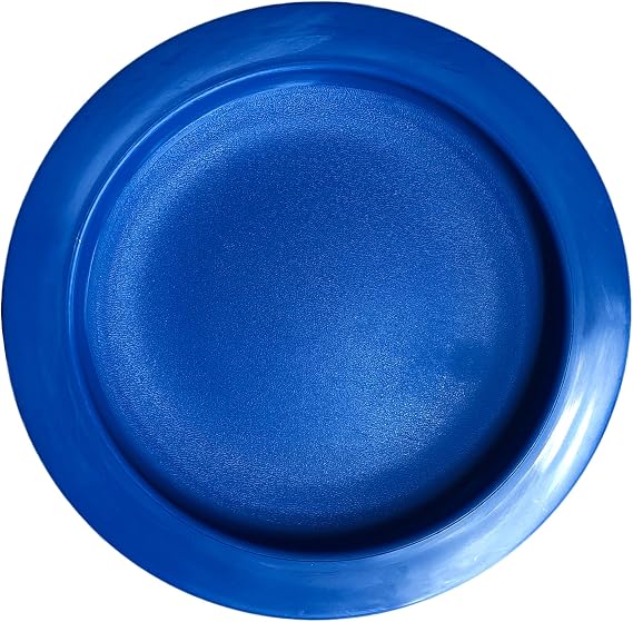 Rehabilitation Advantage Plate with Curved Inner Lip, 9 Inch Diameter, Blue
