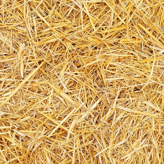 1/2 Pound Natural Wheat Straw for Animal Bedding, Garden Mulch, Compost & Fertilizer, and Grass Cover