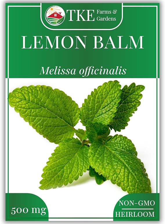 TKE Farms & Gardens - Lemon Balm Seeds for Planting, 250Mg, 300+ Heirloom, Non-GMO Seeds, Instructions Included to Grow This Fragrant Medicinal Herb, Melissa officinalis, Qty 1