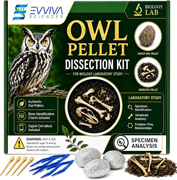 ES EVVIVA SCIENCES Owl Pellet Kit - Dissect 4 Real Owl Pellets w/Tools & PDF Bone Charts - Science Education Kit for Ages 15+ Hands-On Animal Biology Science Lab Activity - Includes Owl eBook