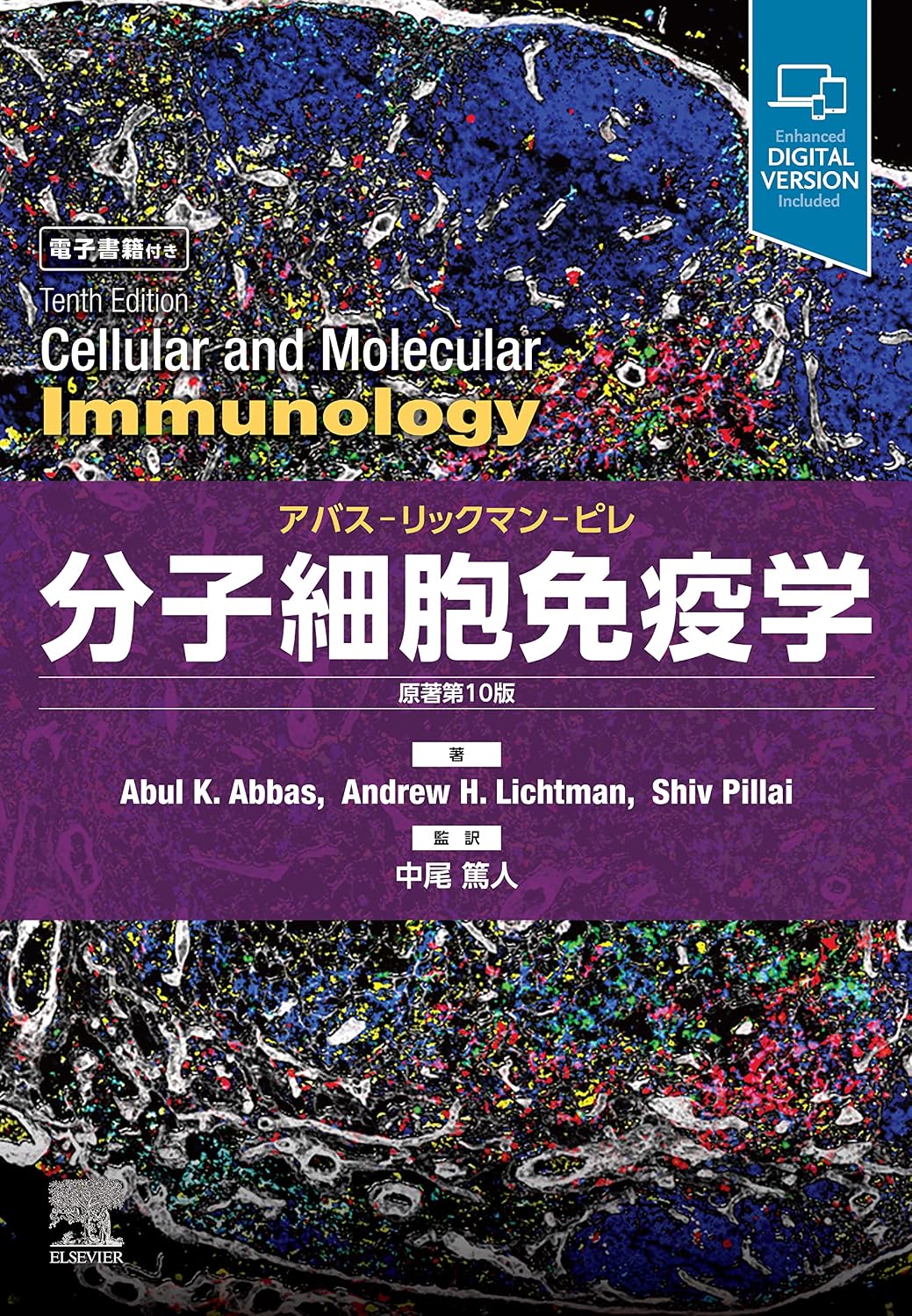 分子細胞免疫学 原著第10版 アバス-リックマン-ピレ Tankobon Hardcover – December 27, 2022