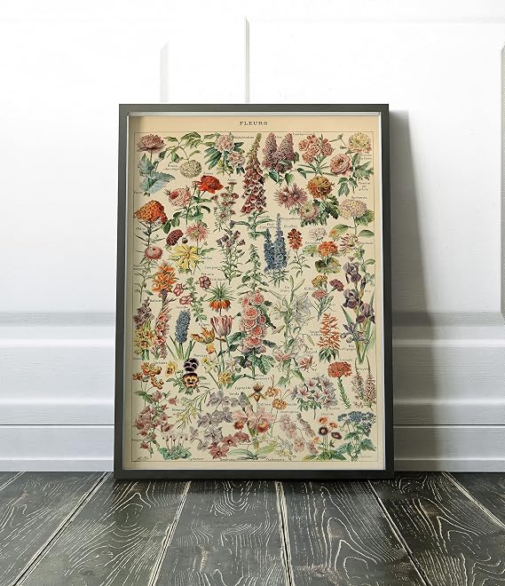 genel Çiçek Çeşitleri Sanatsal Poster 50x70 cm HBA009