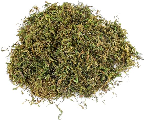 11 OZ Artificial Faux Green Moss for Crafts, Decorative Fake Moss Plant