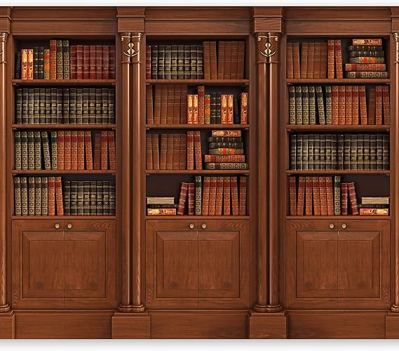 Wallpaper, Wall Mural Library 350x256 cm/137"x96" Non-Woven Premium Art